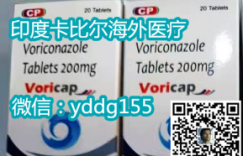 万众瞩目印度伏立康唑多少钱一盒，购买印度伏立康唑国内医保最新售价全网发布！