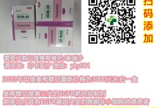 印度奥希替尼多少钱一盒价格标准/售价一览表：(约2900元)一盒!印度奥希替尼多少钱一盒，购买印度奥希替尼(奥希替尼)价格折合人民币2900元起(2023年更新中)肺癌靶向药印度奥希替尼代购/医保价格(30粒)